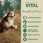 Freshpet® Vital™ Fresh Cuts All Life Stage Dog Food - Chicken - Image 6