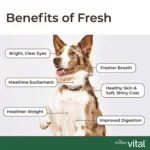 Freshpet Vital Benefits Healthy Aging Adult Dog Food - Chicken and Salmon Recipe - Image 7