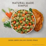 Simply Nourish® Fresh Market Adult Frozen Dog Food - Chicken & Vegetable - Image 2