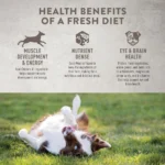 Simply Nourish® Fresh Market Adult Frozen Dog Food - Chicken & Vegetable - Image 3