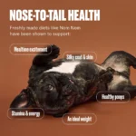 NOM NOM All Life Stages Frozen Dog Food - Beef - Image 5