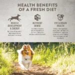 Simply Nourish® Fresh Market Adult Frozen Dog Food - Turkey & Sweet Potato - Image 3