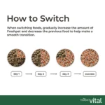 Freshpet Vital Benefits Digest Health All Life Stage Fresh Dog Food - Chicken - Image 8