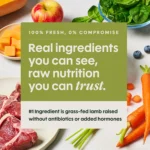 Instinct® FreshRaw Meals Adult Frozen Dog Food - Grass-Fed Lamb - Image 2