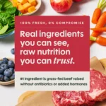 Instinct® FreshRaw Meals Adult Frozen Dog Food - Grass-Fed Beef - Image 2