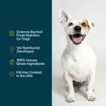 JustFoodForDogs JustFresh All Life Stages Fresh Dog Food - Chicken, 12 oz - Image 4
