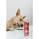 Pup Cup Frozen All Life Stage Dog Treat - Original - Image 4