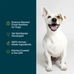 JustFoodForDogs JustFresh All Life Stages Fresh Dog Food - Beef, 12 oz - Image 5