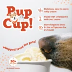 Pup Cup Frozen All Life Stage Dog Treat - Pumpkin - Image 3