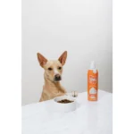 Pup Cup Frozen All Life Stage Dog Treat - Pumpkin - Image 5