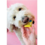 The Bear & The Rat Frozen Yogurt All Life Stages Frozen Dog Treats - Banana & Peanut Butter - Image 4
