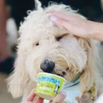 The Bear & The Rat Frozen Yogurt All Life Stages Frozen Dog Treats - Bacon & Peanut Butter - Image 4