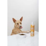 Pup Cup Frozen All Life Stage Dog Treat - Chicken - Image 4