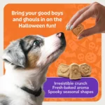 Blue Buffalo Boo Bars Pumpkin Cinnamon Dog Treats 11 OZ - Image 7