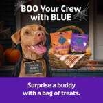 Blue Buffalo Boo Bars Pumpkin Cinnamon Dog Treats 11 OZ - Image 8