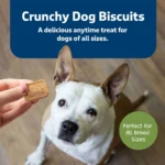 Blue Buffalo® Health Bars Crunchy Adult Dog Treats - 16 oz - Image 4