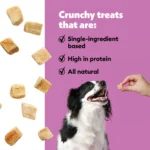 Wiggles & Wags Freeze Dried Chicken Crunchy Dog Treats - Image 5