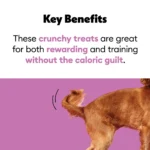Wiggles & Wags Freeze Dried Chicken Crunchy Dog Treats - Image 6