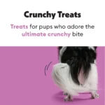 Wiggles & Wags Football Decorated Cookie Dog Treat 2.12 oz - Image 4