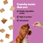 Wiggles & Wags Freeze Dried Beef Liver Dog Treats - Image 5