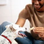 Milk-Bone Dog Treat All Ages - Original - Image 5