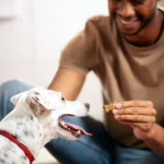 Milk-Bone Flavor Snacks Dog Treat All Ages - Beef, Chicken, Bacon - Image 7
