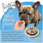 The Lazy Dog Cookie Co. Pup-PIE Happy Birthday Boy Dog Treat - Image 4