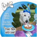 The Lazy Dog Cookie Co. Pup-PIE Happy Birthday Boy Dog Treat - Image 8