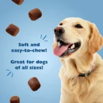 Bil-Jac® Original Recipe Dog Treat - Image 3