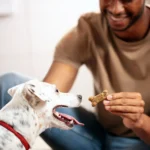 Milk-Bone Flavor Snacks Dog Treat All Ages - Sausage - Image 7