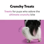 Wiggles & Wags Iced Animal Cookies Dog Treats 1.5 oz - Image 4