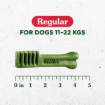 GREENIES Dog Dental Chews - Pumpkin Spice Flavour - Image 4