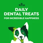 GREENIES Dog Dental Chews - Pumpkin Spice Flavour - Image 7