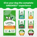 GREENIES Dog Dental Chews - Pumpkin Spice Flavour - Image 8