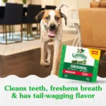 Greenies™ Adult Regular Dog Dental Treats - Natural, Oral Health, Original - Image 3