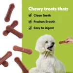 Wiggles & Wags Pumpkin Dental Chews Dog Treats 12 OZ - Image 5