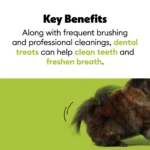 Wiggles & Wags Pumpkin Dental Chews Dog Treats 12 OZ - Image 6