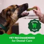 Greenies™ Adult Large Dog Dental Treats - Natural, Oral Health, Original - Image 5