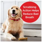 Milk-Bone Brushing Chews Large All Life Stage Dog Treat - Original - Image 5