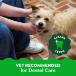 Greenies™ Adult Teenie Dog Dental Treats - Natural, Oral Health, Original - Image 5