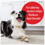 Milk-Bone Brushing Chews Small Medium All Life Stage Dog Treat - Original - Image 5