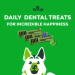 Greenies Large Natural Adult Dog Dental Treats Variety Pack - Original, Minty & Blueberry - Image 6