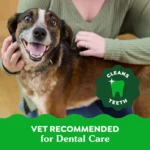 Greenies Regular Natural Adult Dog Dental Treats Variety Pack - Original, Minty & Blueberry - Image 5