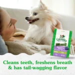 Greenies™ Adult Teenie Dog Dental Treats - Natural, Oral Health, Blueberry - Image 3
