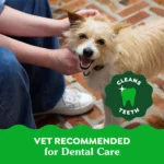 Greenies™ Adult Teenie Dog Dental Treats - Natural, Oral Health, Blueberry - Image 5
