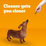 Pedigree® Dentastix Small Breed Adult Dental Dog Treats - Fresh - Image 3