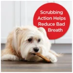 Milk-Bone Brushing Chews Dog Treat All Ages - Original - Image 5