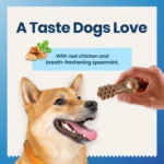Blue Buffalo Medium Dental Chews - Chicken & Spearmint - Image 6