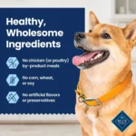 Blue Buffalo Medium Dental Chews - Chicken & Spearmint - Image 8