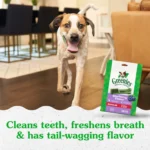 Greenies™ Adult Regular Dog Dental Treats - Natural, Oral Health, Blueberry - Image 3